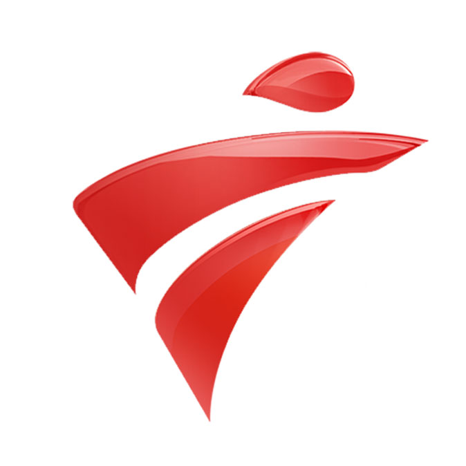 Guangdong TV